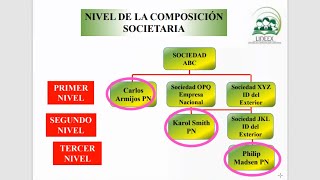 Anexo de Partícipes y Socios APS en el 2024  Guía Detallada y Ejemplos Prácticos [upl. by Ahsian]