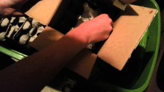 Unboxing 500 Crickets from Flukers Farms [upl. by Paule940]