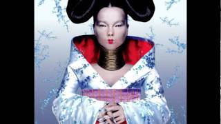 Björk  Bachelorette  Homogenic [upl. by Enilekcaj591]