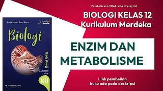 Katabolisme Karbohidrat dengan Respirasi Aerob BIOLOGI KELAS 12 kurikulum merdeka [upl. by Launce]