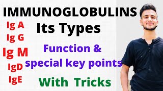 IMMUNOGLOBULINS IgA IgG IgM IgD IgE  Types of Immunoglobulins  Functions of immunoglobulins [upl. by Waller]