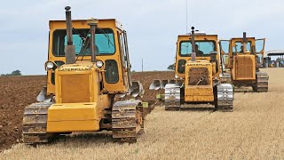 Caterpillar D5B SA VHP D6D SA VHP and D8H 22A ploughing  Dowdeswell DP1  26 furrows  Classic Cat [upl. by Eintroc]