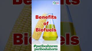 10th August World biofuel Day 2024 [upl. by Yllib]