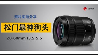 松下2060镜头 照片实拍分享 Lumix S 2060mm f3556 最强的狗头？1500元能给你什么？VLOG神器amp入门必备 [upl. by Seuqramed460]