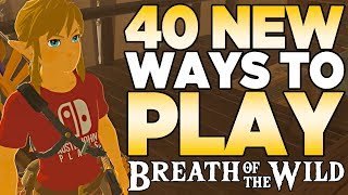 40 NEW Ways to Play The Legend of Zelda Breath of the Wild  Austin John Plays [upl. by Autrey]