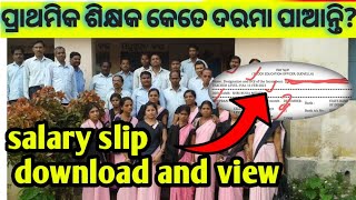 primary teacher salary slip download ll primary teacher salary hike and DA hike odisha salary silp [upl. by Loginov]