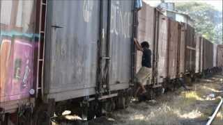 TREM  SURFISTA e CARONA  RAILWAYS BRAZIL TRAIN  FULL HD  By FARINA [upl. by Clarkin]