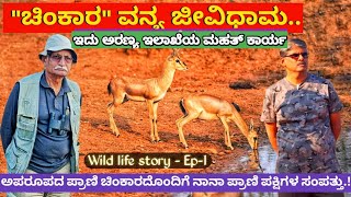 ಯಡಹಳ್ಳಿ ಚಿಂಕಾರ ವನ್ಯಜೀವಿಧಾಮyadahalli chinkaraIndian Gazellewild life sanctuary [upl. by Willin933]