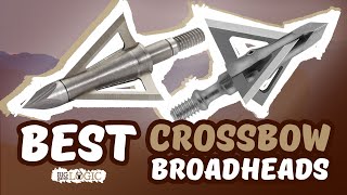 Best Crossbow Broadheads 🏹 Top Options Reviewed  Big Game Logic [upl. by Melcher]