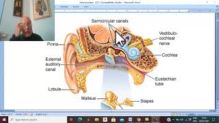 Neurosurger in Arabic 1  Brain Abscess   by Dr Wahdan [upl. by Rehpotisrhc679]