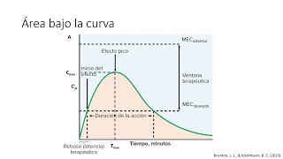 Farmacocinética II  Docente Pablo Fleitas Rumak [upl. by Nivri]