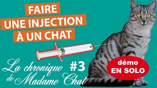 Faire une injection à un chat [upl. by Norud]