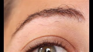 Bilan repousse sourcils après 5 mois  ✨ Marion Blush [upl. by Otir]