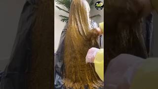 Natural Red Hair Dye Hair Colour at home Super Silky hair hairstyle hair haircare hairfall [upl. by Nnaeirelav881]