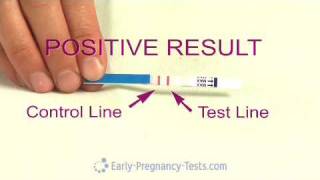 Pregnancy Test Strip [upl. by Atirac411]