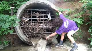 clearing culvert blocked from inside summer 2021 [upl. by Lleze]