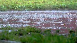 Heavy rain falling  Free stock video  orangeHDcom [upl. by Gnilhsa]