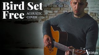 Bird Set Free  SIA Acoustic Cover by Vedran [upl. by Eecyaj472]