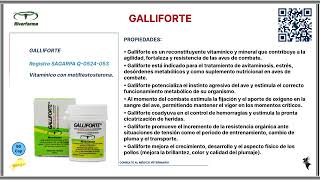 GALLIFORTE [upl. by Adiehsar]