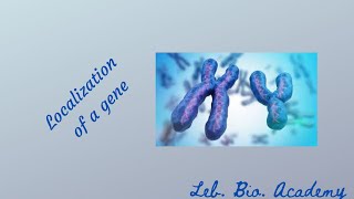 Localization of gene [upl. by Lounge]