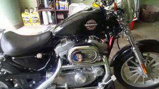 HD Sportster Oil and Primary Fluid Change HowTo [upl. by Barclay572]