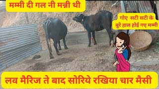 हाए बो बुरी फसी मुन्नी लव मैरिज करी के l माऊ दी गल नी सुनने दा नतीजा l Himachali cartoon video [upl. by Aizti355]