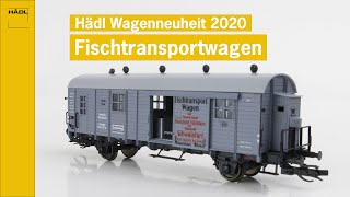 Hädl  Neuheitenpräsentation Herbst 2020 [upl. by Ingraham]