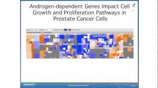 Transcription factor activation amp inhibition in microRNA mRNA amp RNASeq cancerrelated experiments [upl. by Risan]