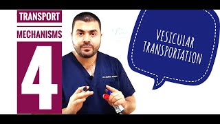 Transport mechanisms 4 Vesicular transportation [upl. by Dulci]