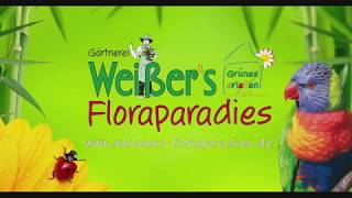 Gärtnerei Weißers Floraparadies [upl. by Aedni]