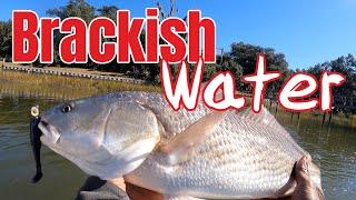 Winter Fishing a Brackish Water Creek for REDFISH [upl. by Ennayar]