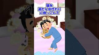 【2ch】猫を湯たんぽ代わりにして寝てたら…【アニマル】 Shorts [upl. by Sudderth]