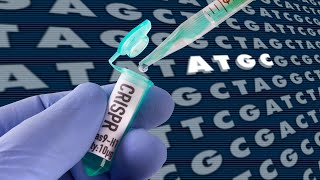 Decoding the CRISPR Craze [upl. by Hilliary629]