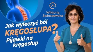 Pijawki Na Kręgosłup Jak Wyleczyć Ból Kręgosłupa Terapia Pijawkowa A Ból Lędźwi i Ból Szyi [upl. by Roe293]