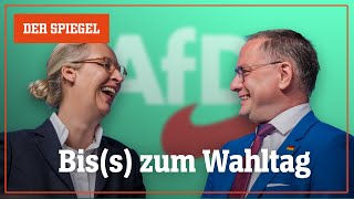 AfDParteitag Die neue Fassade der Einigkeit – Shortcut  DER SPIEGEL [upl. by Fernandes465]