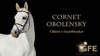 CORNET OBOLENSKYGFE 2017 [upl. by Marlowe]