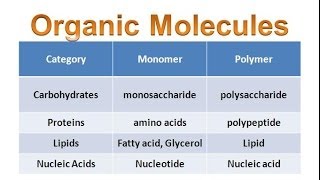 Organic Molecules amp Carbohydrates regular biology updated [upl. by Jaclin559]