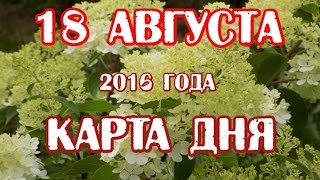 ТАРО гадание онлайн  КАРТА ДНЯ  18 августа 2016 [upl. by Irim]