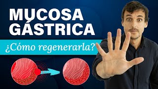 ¿CÓMO REGENERAR la MUCOSA GÁSTRICA 🔴 Método 32 RECUPERA tus DIGESTIONES [upl. by Hnah]