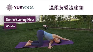 45分钟黄昏流瑜伽 全面拉伸延展 舒缓身心大脑 （各级别友好）45min Gentle Summer Evening Yoga Flow  Yue Yoga [upl. by Idnahs]