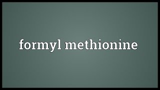 Formyl methionine Meaning [upl. by Adyan]