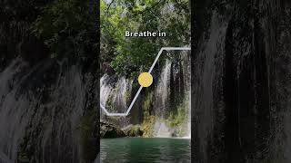 Parasympathetic Breathing Exercise 4462 breathingforanxiety breathe breathingexercise [upl. by Boyse162]