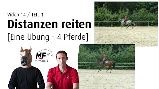 141 Distanzen reiten Teil 1  eine Übung  vier verschiedene Pferde  quotlivequot Kommentar [upl. by Sokem]