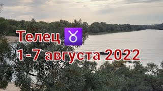 ТЕЛЕЦ Расклад ТАРО на 17 АВГУСТА 2022 [upl. by Alika488]