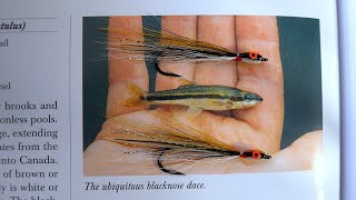 Tying a Blacknose Dace Fry Pattern with Davie McPhail [upl. by Nabroc446]