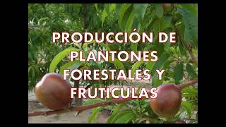 📚𝗖𝗨𝗥𝗦𝗢 IPRODUCCIÓN DE PLANTONES FORESTALES Y FRUTICULAS📚 [upl. by Lemmor]