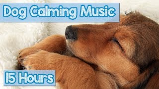 Relaxing Nature Sounds for Anxious Dogs Calm Your Dog with this Natural Anxiety Remedy for Dogs 🐕 [upl. by Sema707]