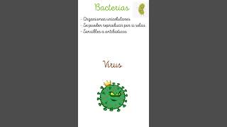 🦠 Bacterias vs Virus medicina salud ciencia microbiología histologia semiologia [upl. by Dareg]