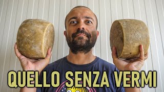 Tutti pazzi per il PECORINO SARDO  Ep 15 🍞🧀🍷🐑🐑🐑🐑🐑🐑 [upl. by Kendra346]