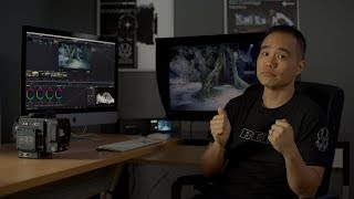 RED IPP2 Colour Grading in DaVinci Resolve [upl. by Bussey528]